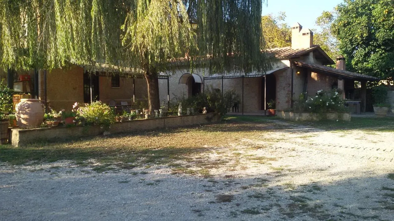 Agriturismo San Bernardino Del Lago Rapolano Terme Alloggio per agriturismo