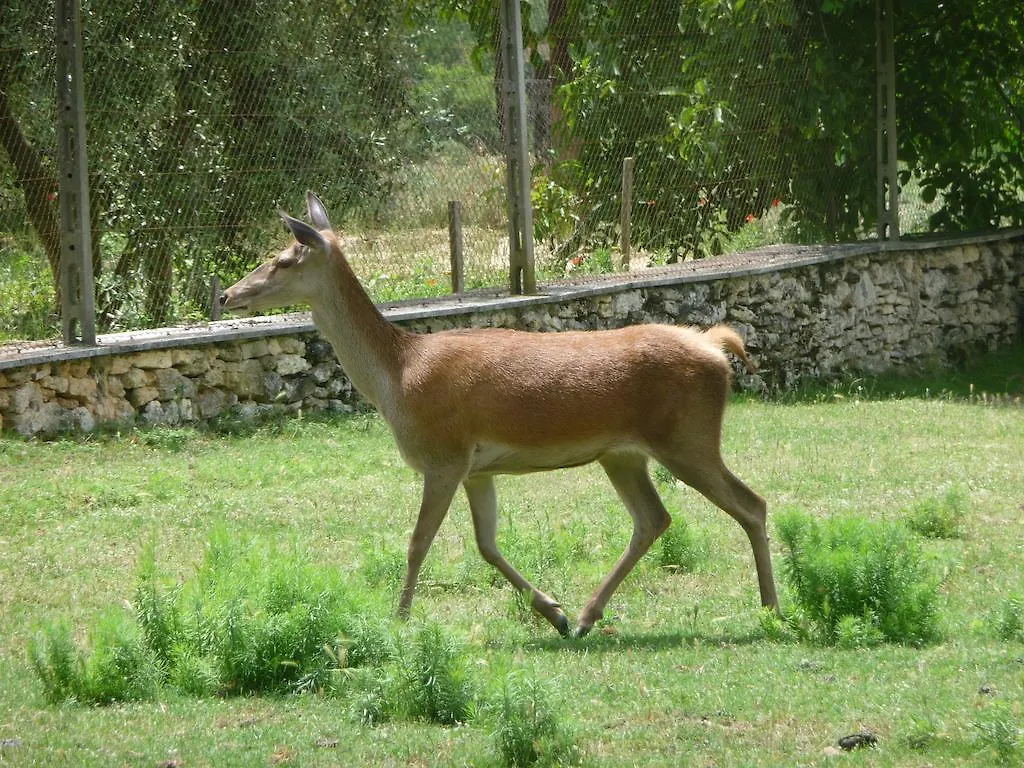 Farm stay Agriturismo San Bernardino Del Lago Rapolano Terme