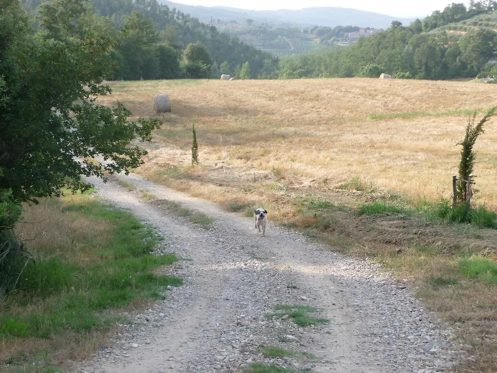 Farm stay Agriturismo San Bernardino Del Lago Rapolano Terme